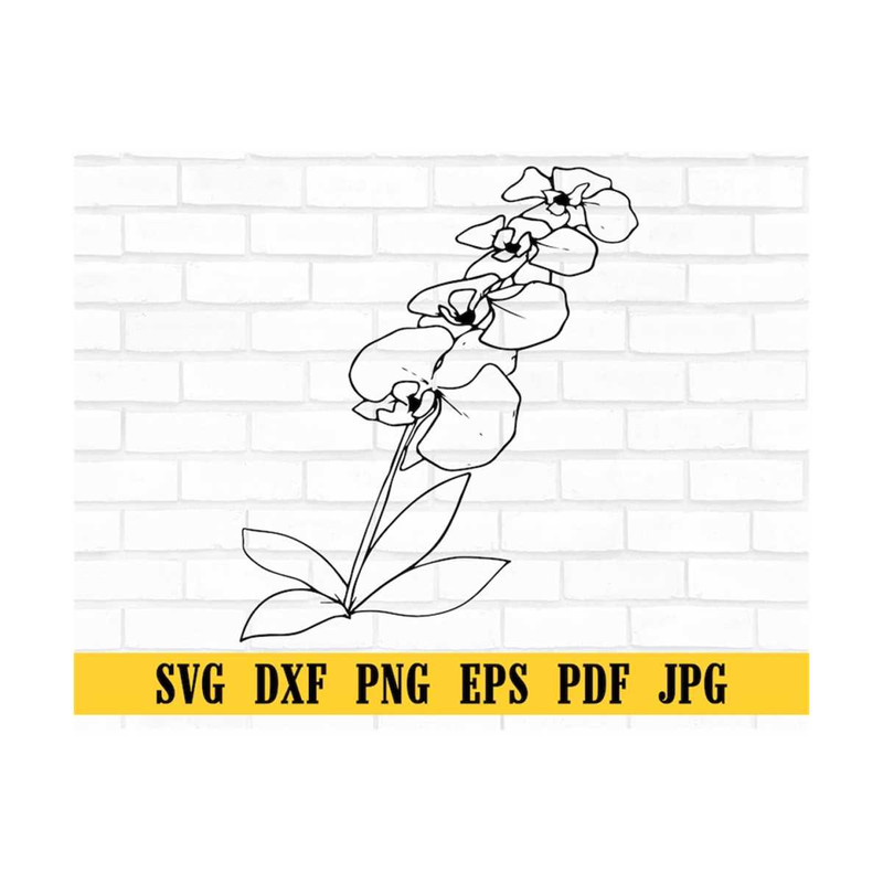 MR-309202382225-branch-of-orchids-flowersorchid-svg-orchid-clipart-orchid-image-1.jpg