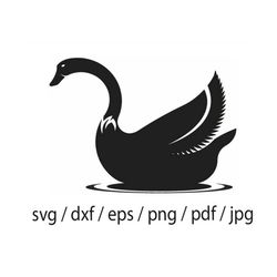swan svg, beautiful swan svg, swan cut file, swan vector, swan png, black swan svg, wedding svg, bird svg, swan silhouet