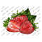 MR-309202385959-strawberries-sublimation-design-summer-strawberry-watercolor-image-1.jpg