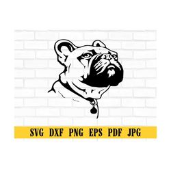 frenchie svg file, dog svg file, french bulldog svg file, frenchie cut file, animal face svg, cute dog svg, dog face svg