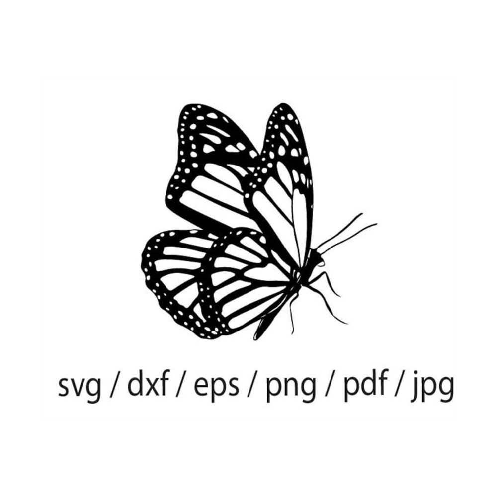 MR-309202310429-butterfly-svg-butterfly-dxf-butterfly-png-butterfly-image-1.jpg