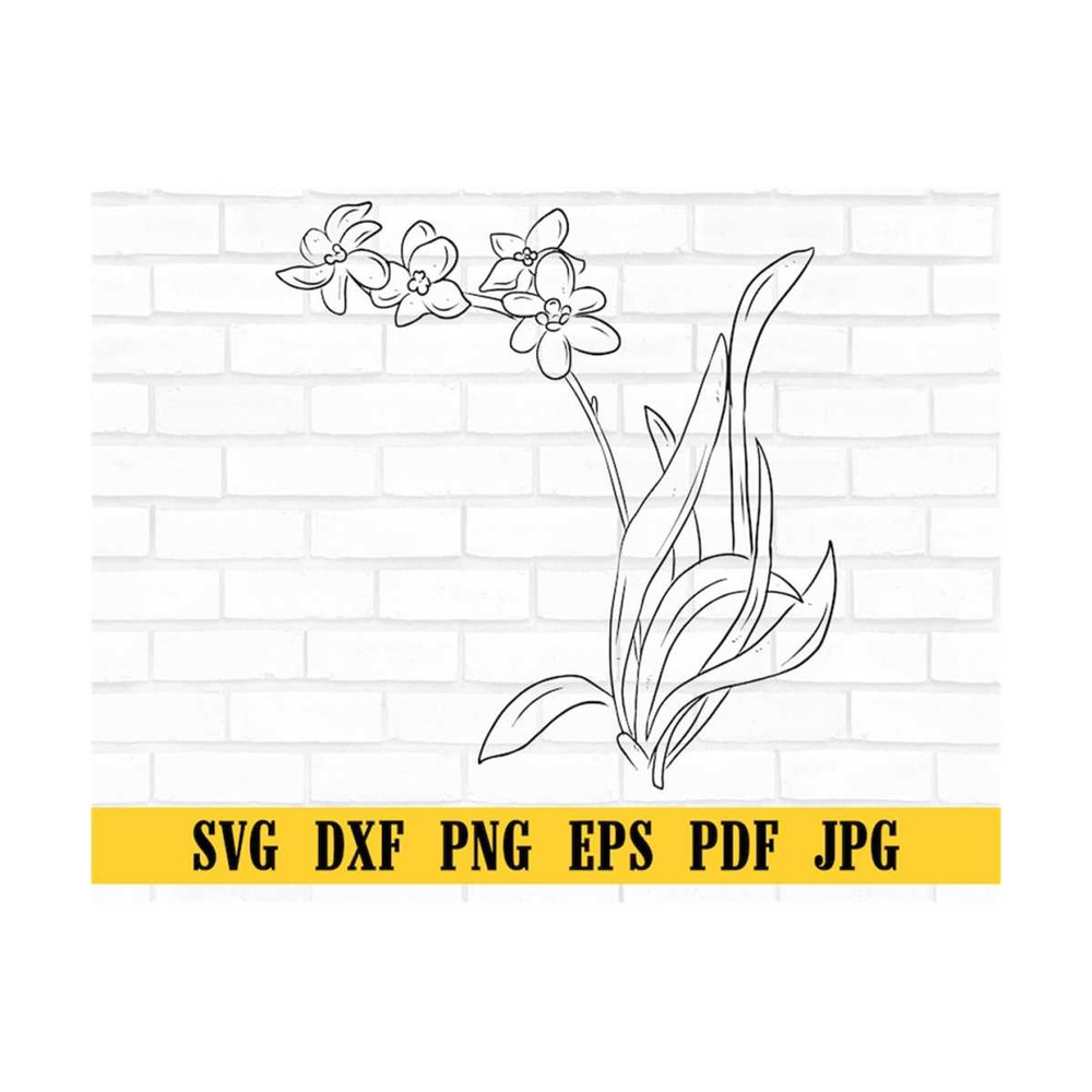 MR-309202310621-branch-of-orchids-flowersorchid-svg-orchid-clipart-orchid-image-1.jpg