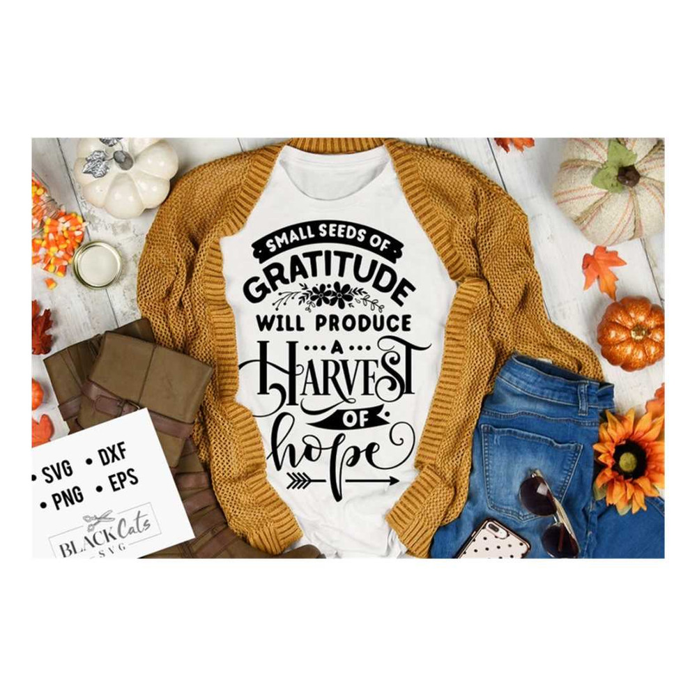 MR-309202311244-small-seeds-of-gratitude-will-produce-a-harvest-of-hope-svg-image-1.jpg