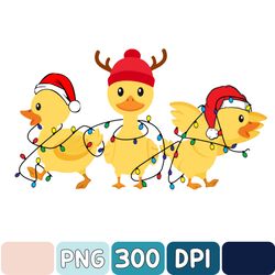 Duck Christmas Png, Christmas Ducks Png, Holiday Season, Iprintasty Christmas, Duck Christmas Shirt Png, Christmas Farm