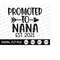 MR-3092023113711-promoted-to-nana-2021-svg-grandma-svg-new-grandma-shirt-image-1.jpg