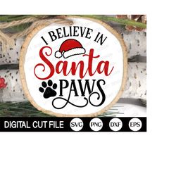 pet christmas ornament svg, i believe in santa paws, dog christmas, monogram, cat ornaments, pet memorial, shirt, svg fi