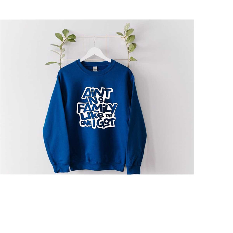 MR-3092023141031-aint-no-family-like-the-one-i-got-sweatshirt-family-hoodie-image-1.jpg