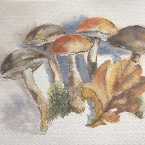 Mushrooms original watercolour painting hand painted modern painting wall art original artwork 8x11 inch