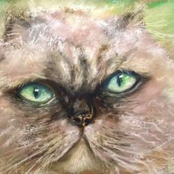 fluffy white cat original soft pastel painting on cardboard