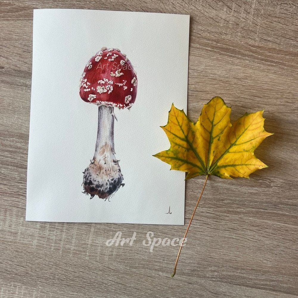 fly agaric - watercolor painting - botanical painting - plant - red painting - botany - photorealistic painting - 1.jpg