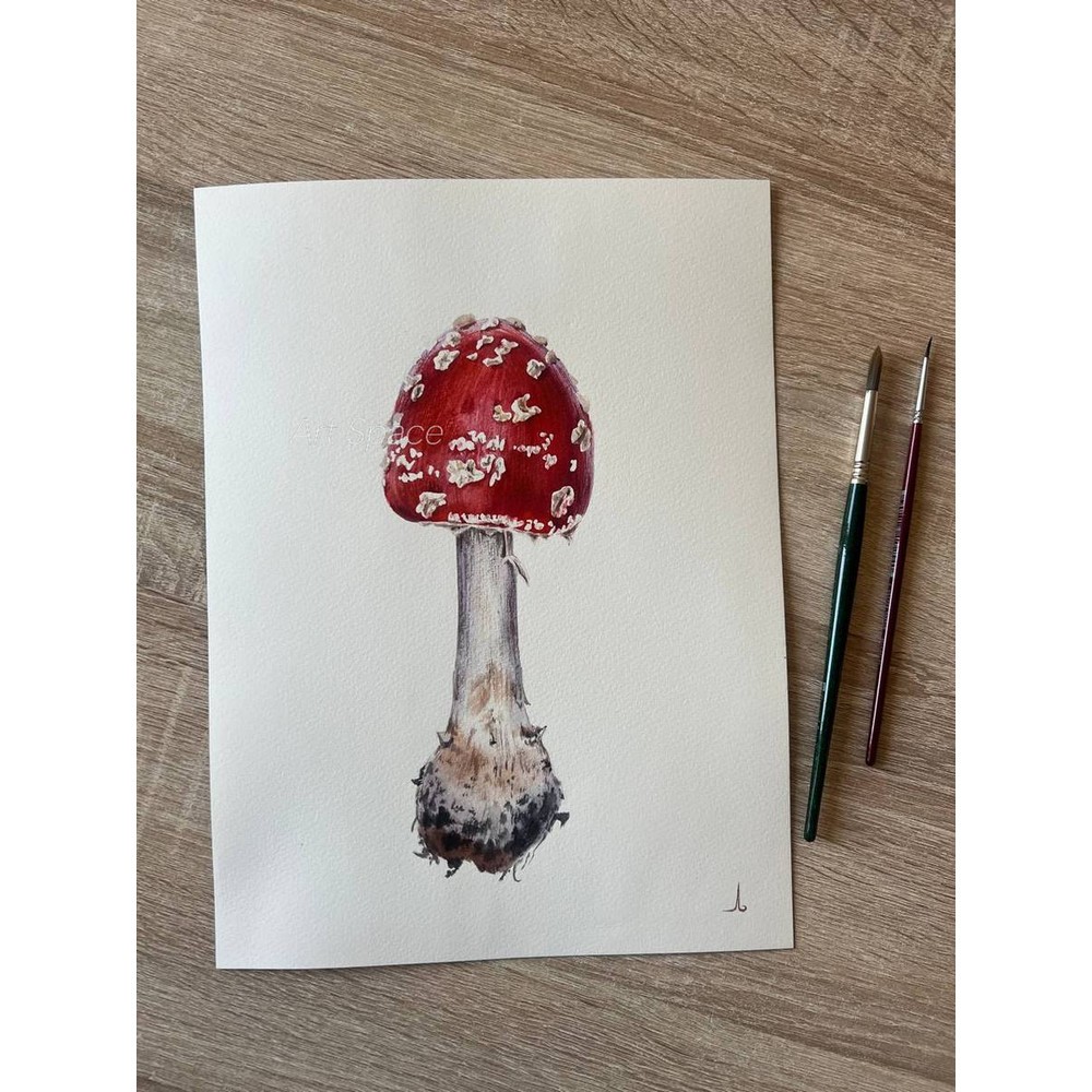 fly agaric - watercolor painting - botanical painting - plant - red painting - botany - photorealistic painting - 2.jpg