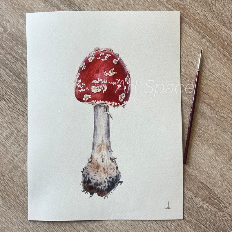 fly agaric - watercolor painting - botanical painting - plant - red painting - botany - photorealistic painting - 6.jpg