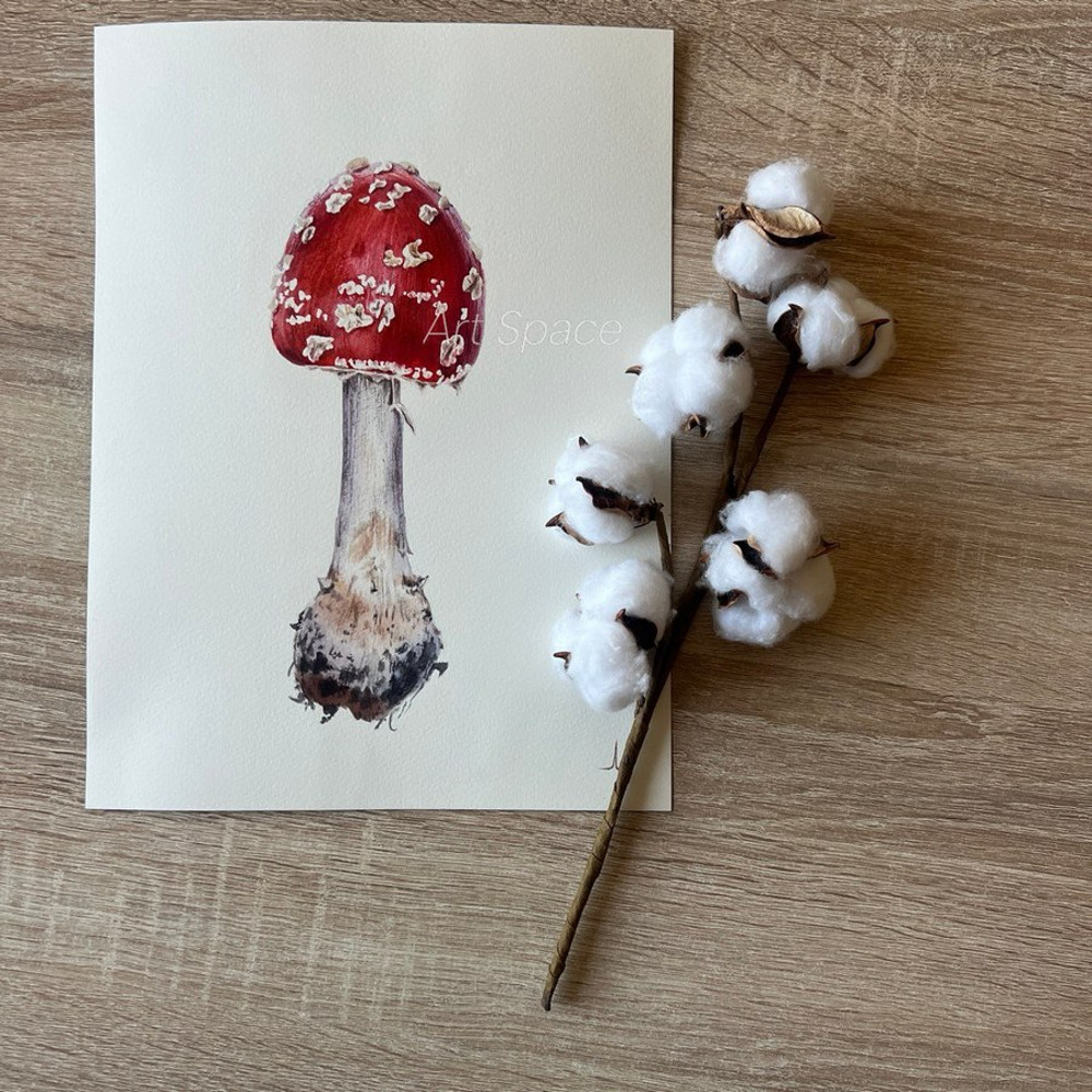 fly agaric - watercolor painting - botanical painting - plant - red painting - botany - photorealistic painting - 7.jpg