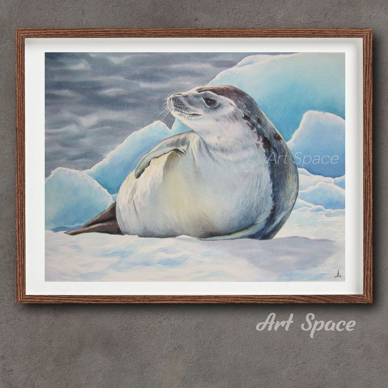 Seal - watercolor painting - picture with animal - blue painting - nature - ice - snow - photorealistic painting - 2.jpg