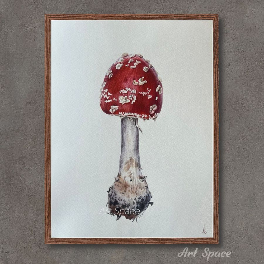 fly agaric - watercolor painting - botanical painting - plant - red painting - botany - photorealistic painting - 100.jpg