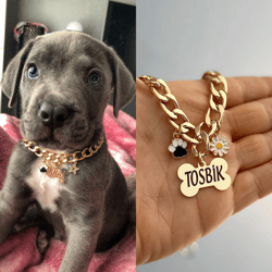 Engraved Dog Tag, Gold Dog Tag Personalized, Dog Name Tag, Custom Dog Tag, Dog ID Tag, Bone custom Pet ID with Chain