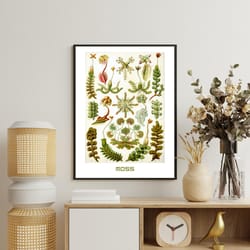 botanical moss poster, botanical wall art vintage illustrative - digital download trendy wall art decor poster canvas di