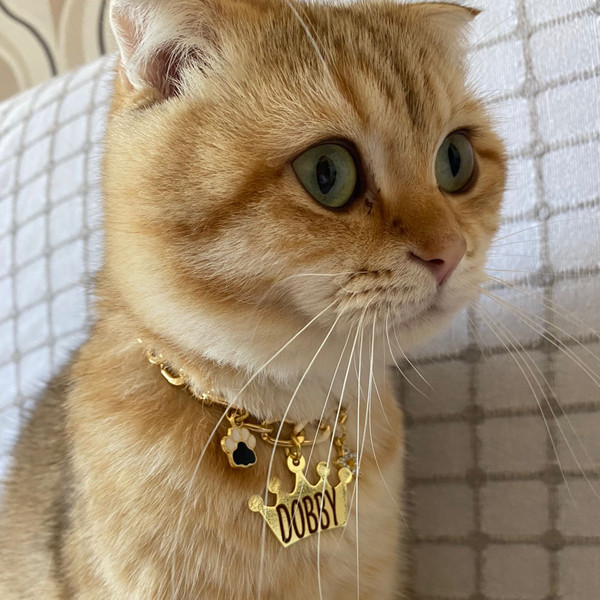 necklace for cats with  tag name.png
