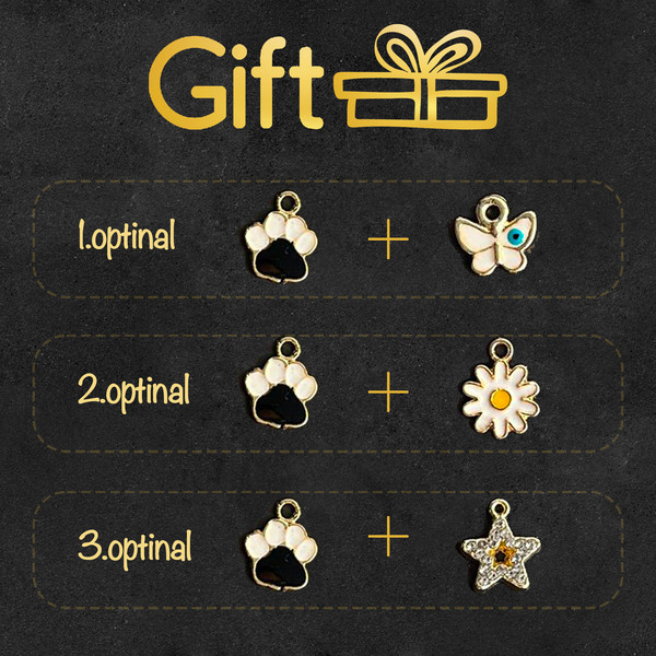 pet tag with  jewelry for gift.jpg