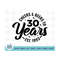 MR-210202311509-30th-birthday-svg-1993-birthday-svg-retro-svg-vintage-image-1.jpg