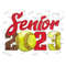 MR-2102023135143-western-senior-2023-softball-png-leopard-senior-2023-softball-image-1.jpg