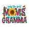 MR-210202314235-only-the-best-moms-get-promoted-to-gramma-png-new-gramma-png-image-1.jpg