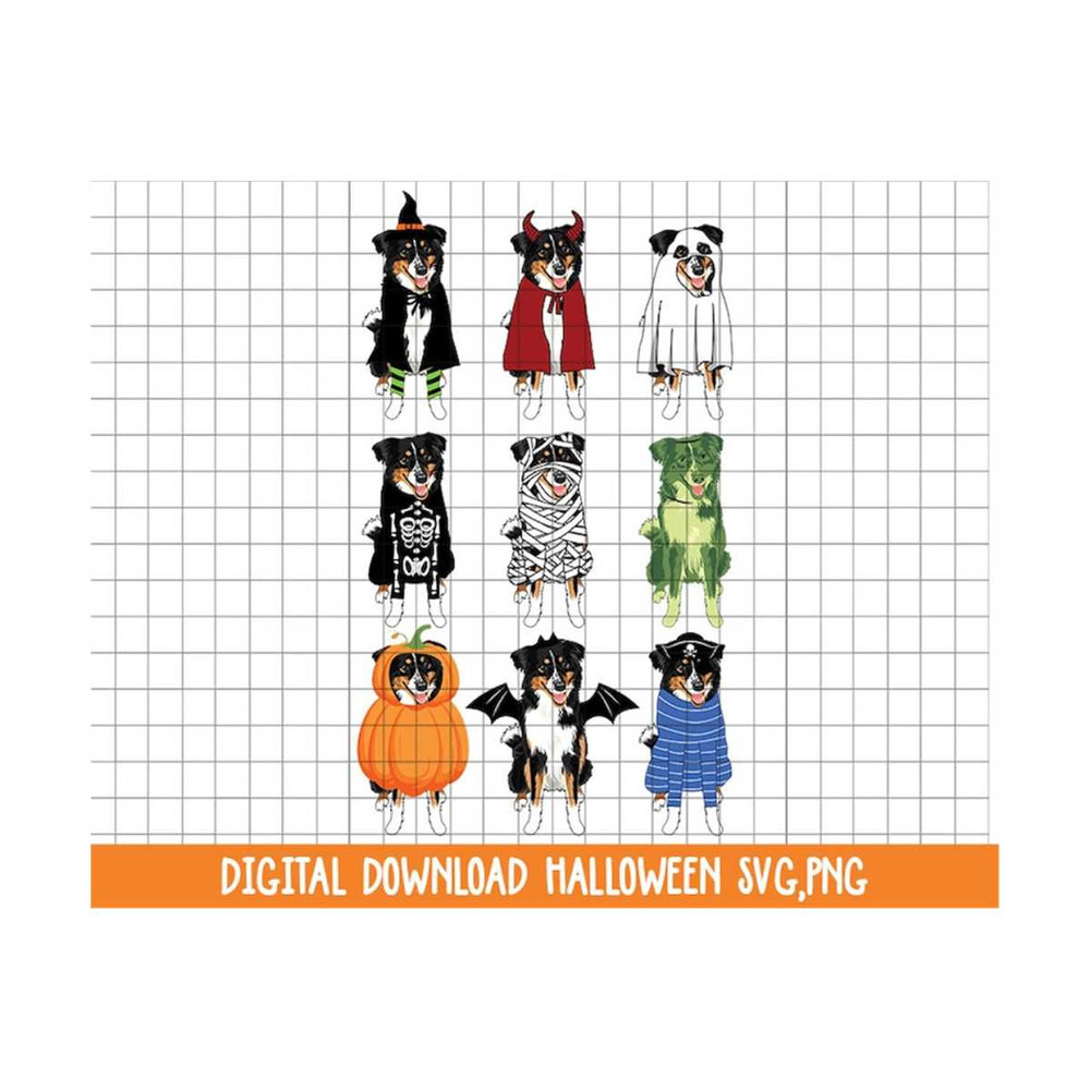 MR-210202314612-australian-shepherds-dog-halloween-costume-hand-drawn-design-image-1.jpg