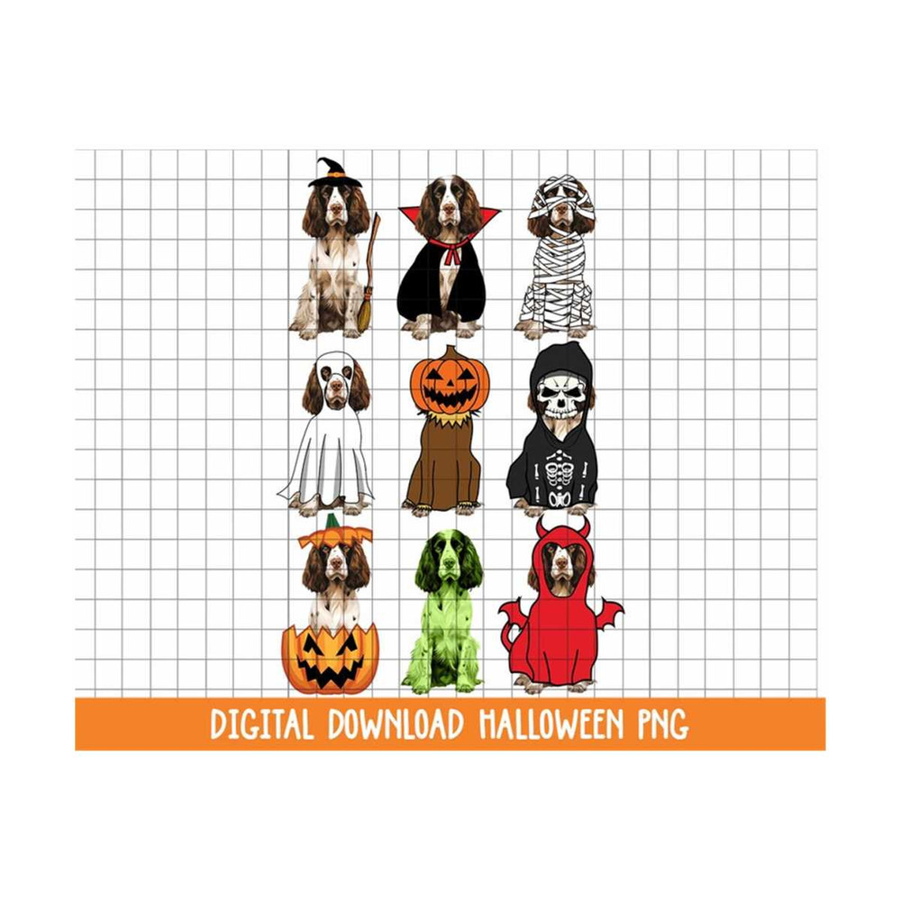 MR-210202314329-english-springer-spaniels-dog-halloween-costume-hand-drawn-image-1.jpg