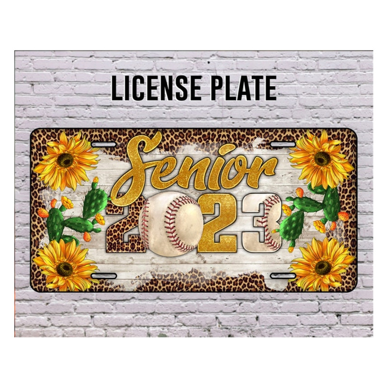 MR-2102023143248-senior-2023-baseball-license-plate-baseball-license-plate-image-1.jpg