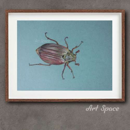Original Painting "Cute bug" Melolontha, for Office, insect, Home Decoration Housewarming Gift Hallway Decor, athlete