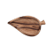 Leaf plate 1.png
