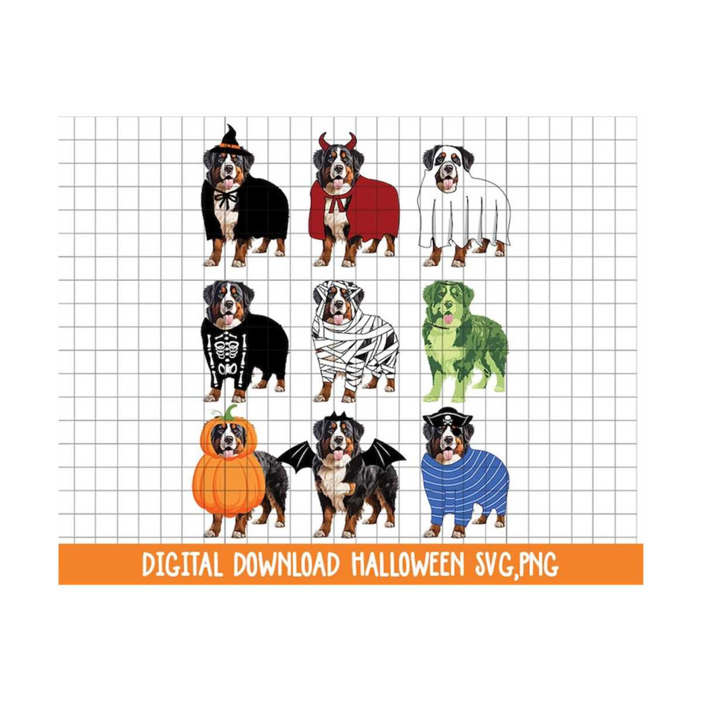 MR-2102023145010-bernese-mountain-dog-halloween-costume-hand-drawn-design-image-1.jpg