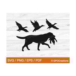 hunting dog labrador retriever svg, duck hunting svg, duck hunting dog svg, hunting clipart, dad hunting svg, hunting se