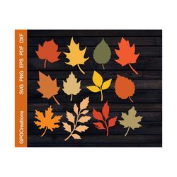 fall leaves svg bundle, fall svg, fall leaf svg, fall png, fall leaves silhouette, halloween svg, fall leaves clipart, c