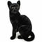 Boone Black Cat Plush Toy 14 Inch 3