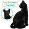 Boone Black Cat Plush Toy 14 Inch 2