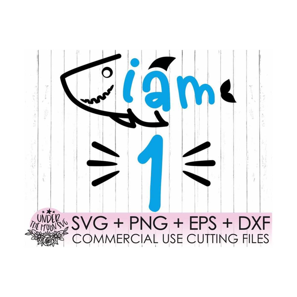MR-310202304619-shark-1st-birthday-svg-birthday-shark-svg-baby-girl-first-image-1.jpg