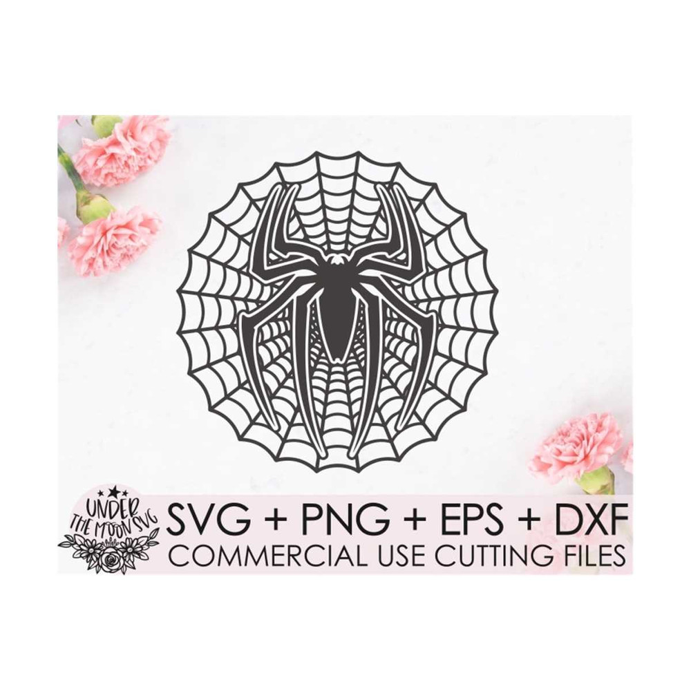 MR-310202312454-spider-web-svg-halloween-svg-spider-svg-spider-web-image-1.jpg