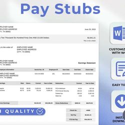 authentic paycheck stub template editable
