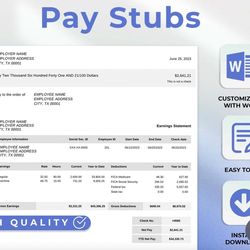 Authentic Paycheck Stub Template Editable