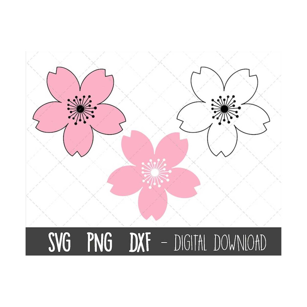 MR-310202382818-cherry-blossom-svg-cherry-blossom-svg-bundle-flower-svg-image-1.jpg