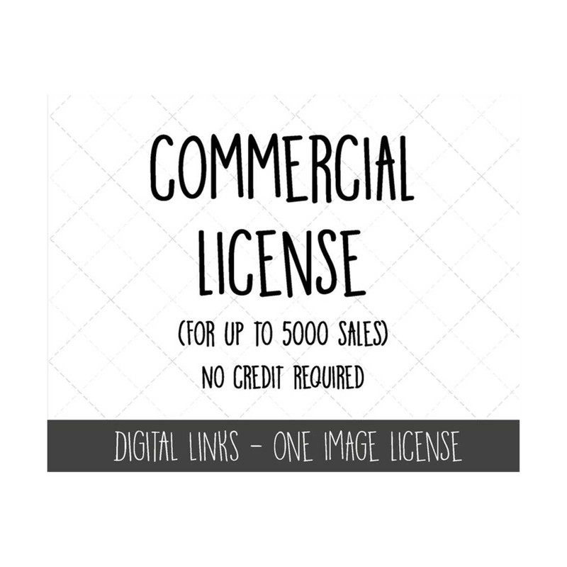 MR-310202383246-commercial-license-to-the-limit-of-5000-no-credit-required-image-1.jpg
