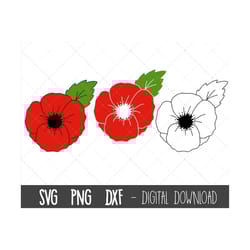poppy svg, poppy svg bundle, flower svg, flower clipart, spring clipart, botanical floral svg, poppy flower cricut silho