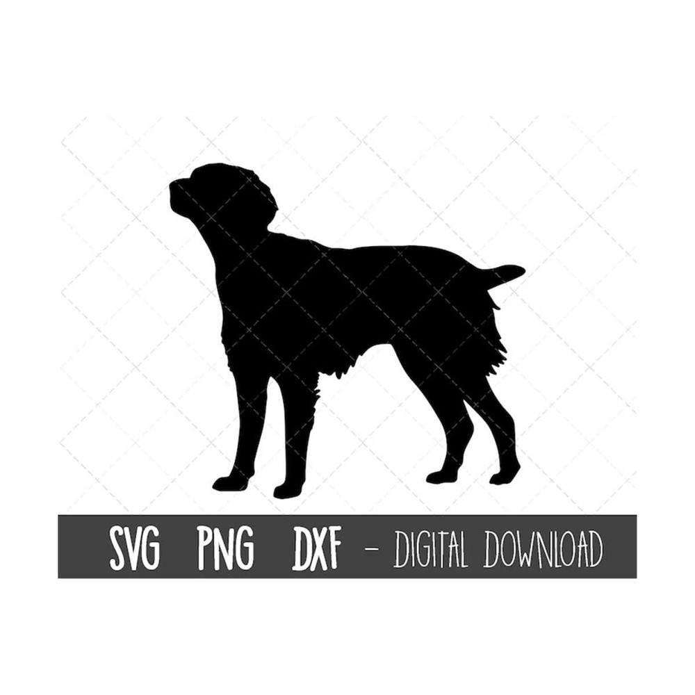 MR-310202383858-brittany-svg-dog-svg-brittany-dog-silhouette-brittany-image-1.jpg
