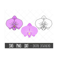orchid svg, spring flower svg bundle, flower svg, spring flower clipart, floral clipart, orchid flower png, cricut silho
