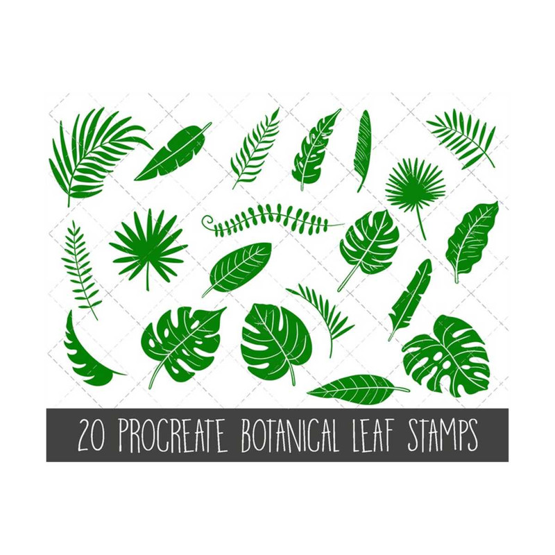 MR-310202391539-tropical-leaves-procreate-stamps-jungle-leaves-stamp-set-image-1.jpg
