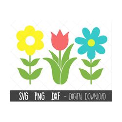 spring flower svg bundle, flower svg, flower clipart, spring clipart, floral svg, floral clipart, tulip flower cricut si