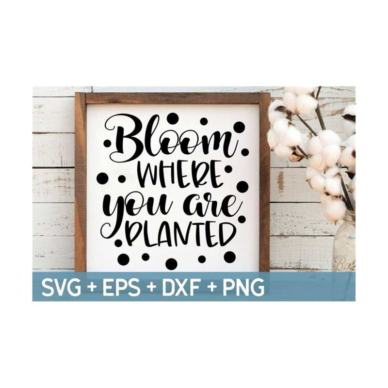 MR-310202310631-bloom-where-you-are-planted-svg-inspirational-quote-image-1.jpg