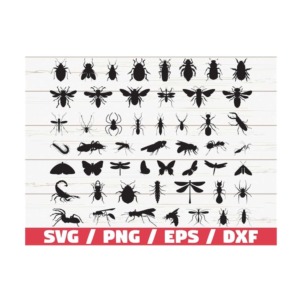 MR-3102023102518-51-insect-svg-insect-bundle-svg-cricut-cut-files-image-1.jpg