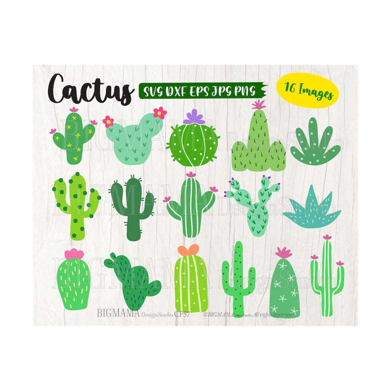 MR-310202310526-cactus-svgcactus-svg-files-for-cricutcactus-svg-image-1.jpg